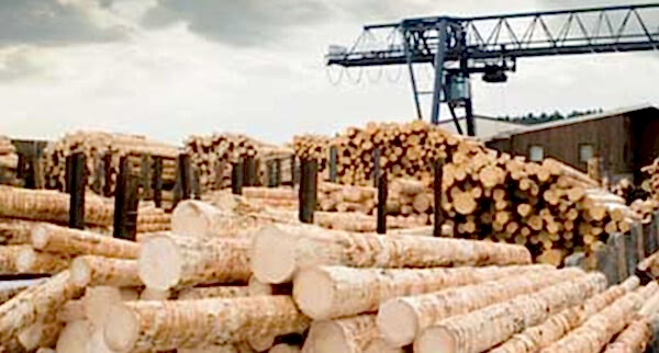 Özel Üretim Masif Panel